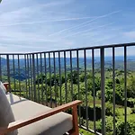 Bellevue * Marezige